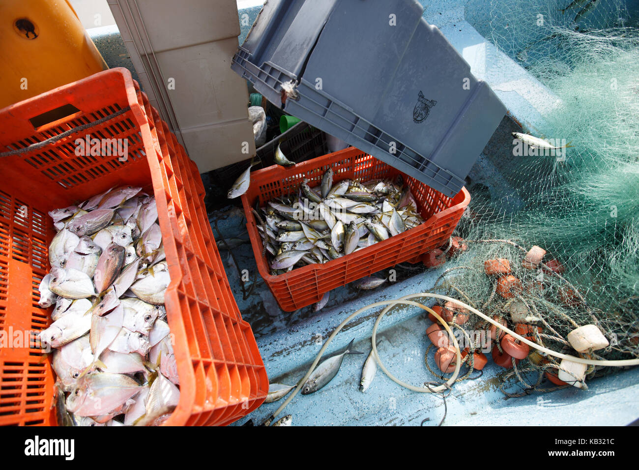 Freshly caught fish at La Bamba beach near Salina Cruz, Oaxaca, Mexico. Stock Photo