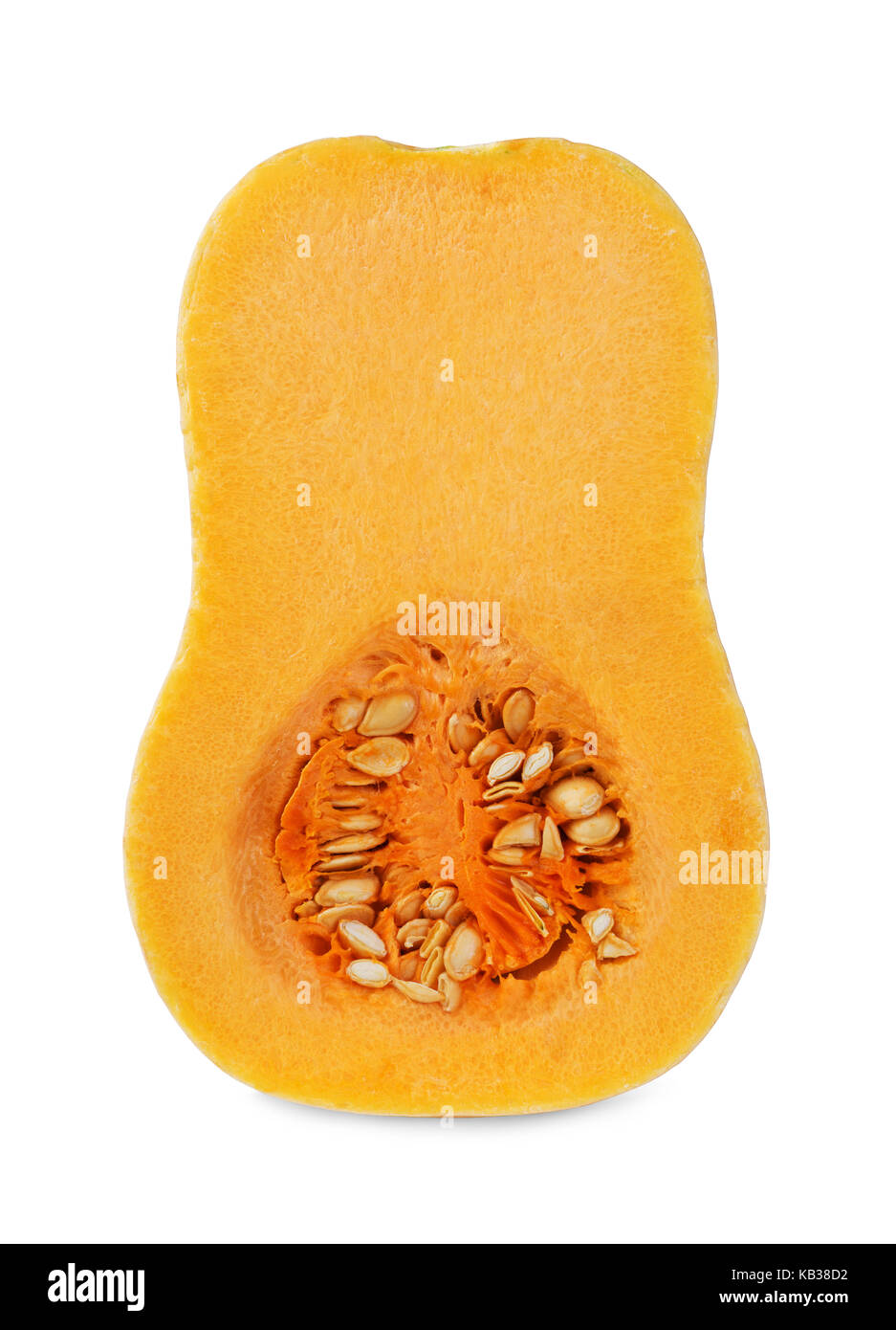 fresh orangeyellow butternut squash isolated on white background Stock