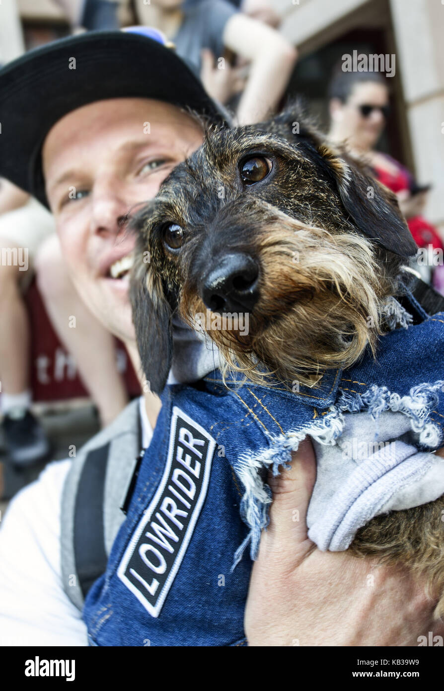 Annual dachshund fancy dress costume contest Melbourne Australia Stock