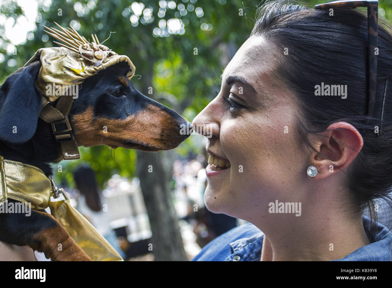 Annual dachshund fancy dress costume contest Melbourne Australia Stock