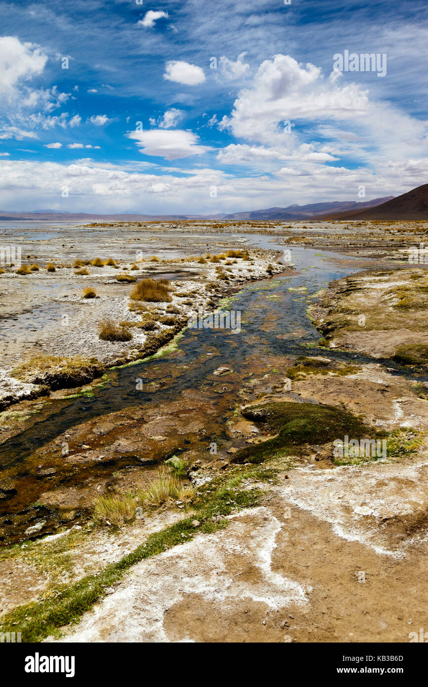 Termas de Polques, Laguna Salada hot springs, Bolivian Altiplano or Plateau, Bolivia, South America Stock Photo