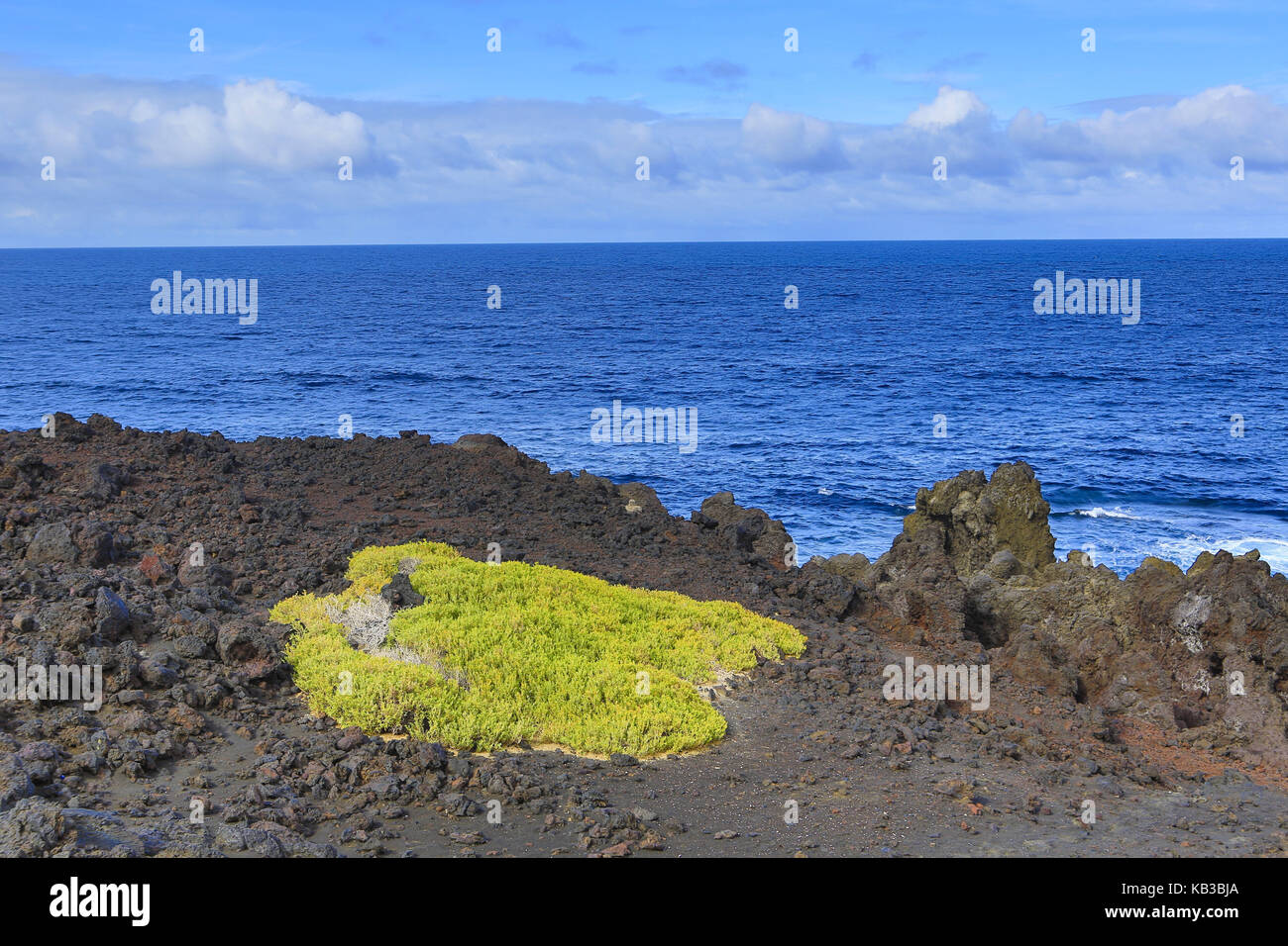 Spain, Canary islands, Lanzarote, Timanfaya national park, Los Hervideros, coast, lava rock, plants, vegetation, Stock Photo