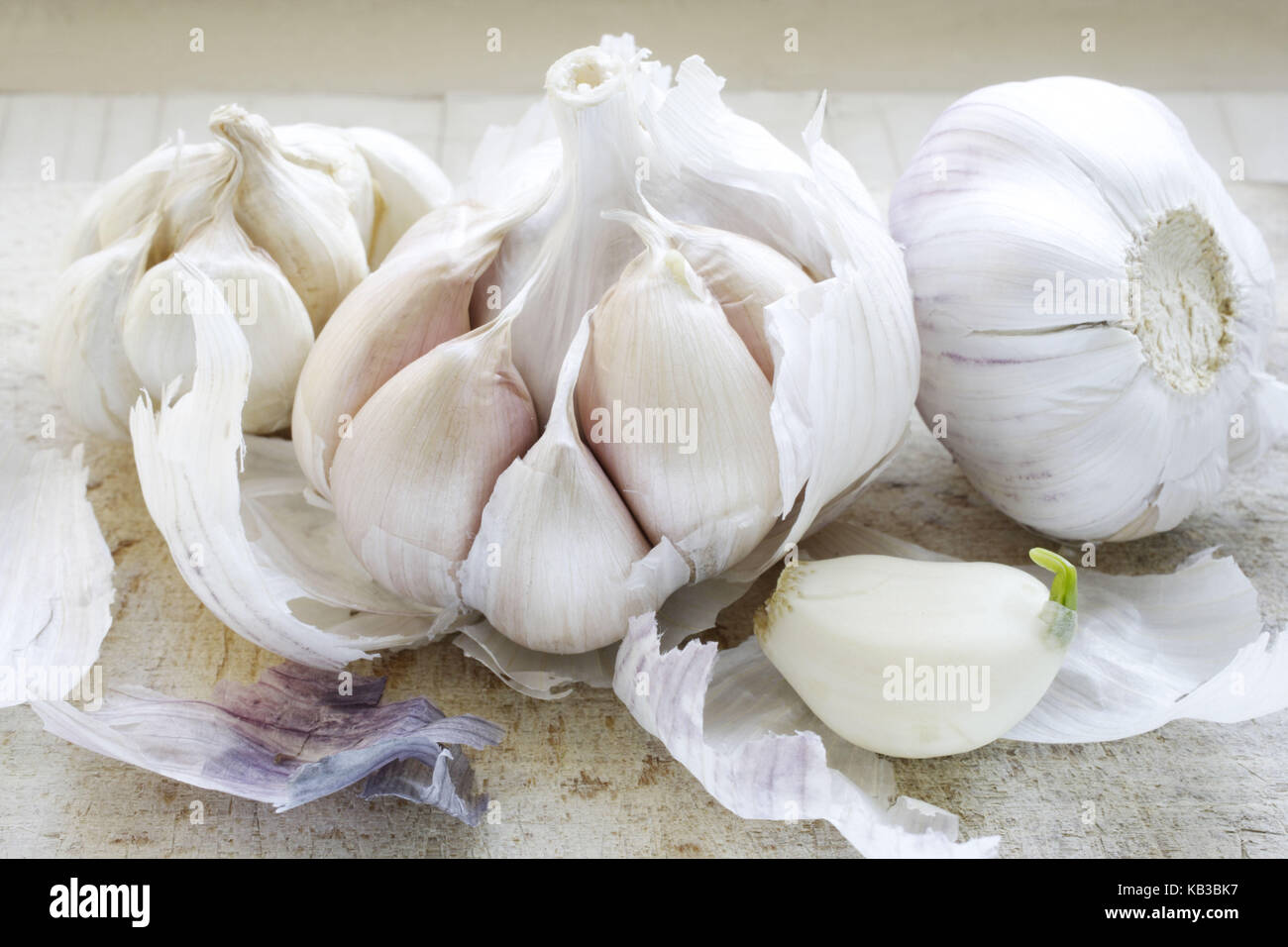 Garlic nodules, cloves of garlic, Stock Photo