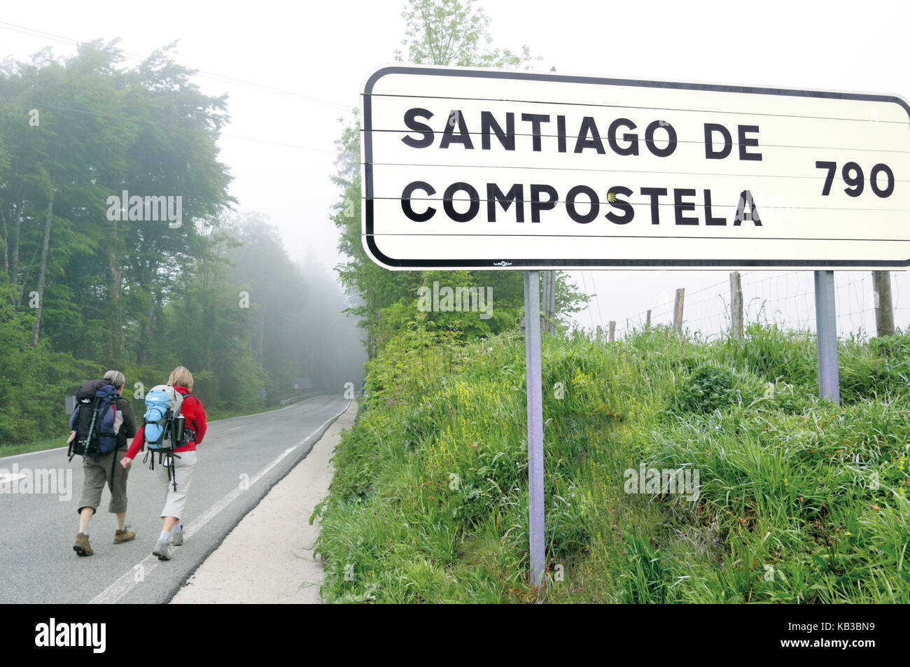Spain, Navarre, jacobean pilgrim s exit Roncesvalles in the direction of Santiago de Compostela, Stock Photo
