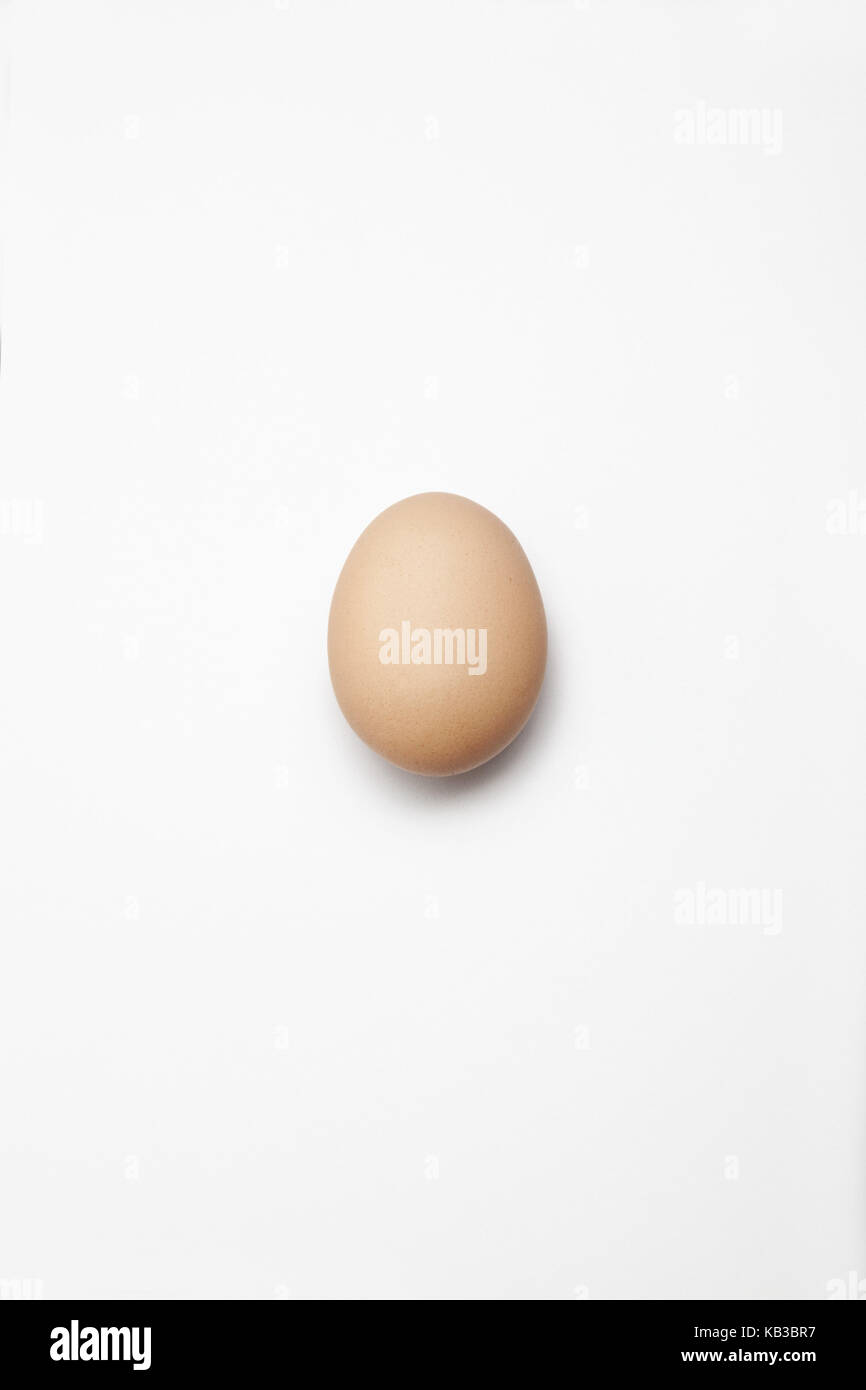 Brown egg, white background, Stock Photo