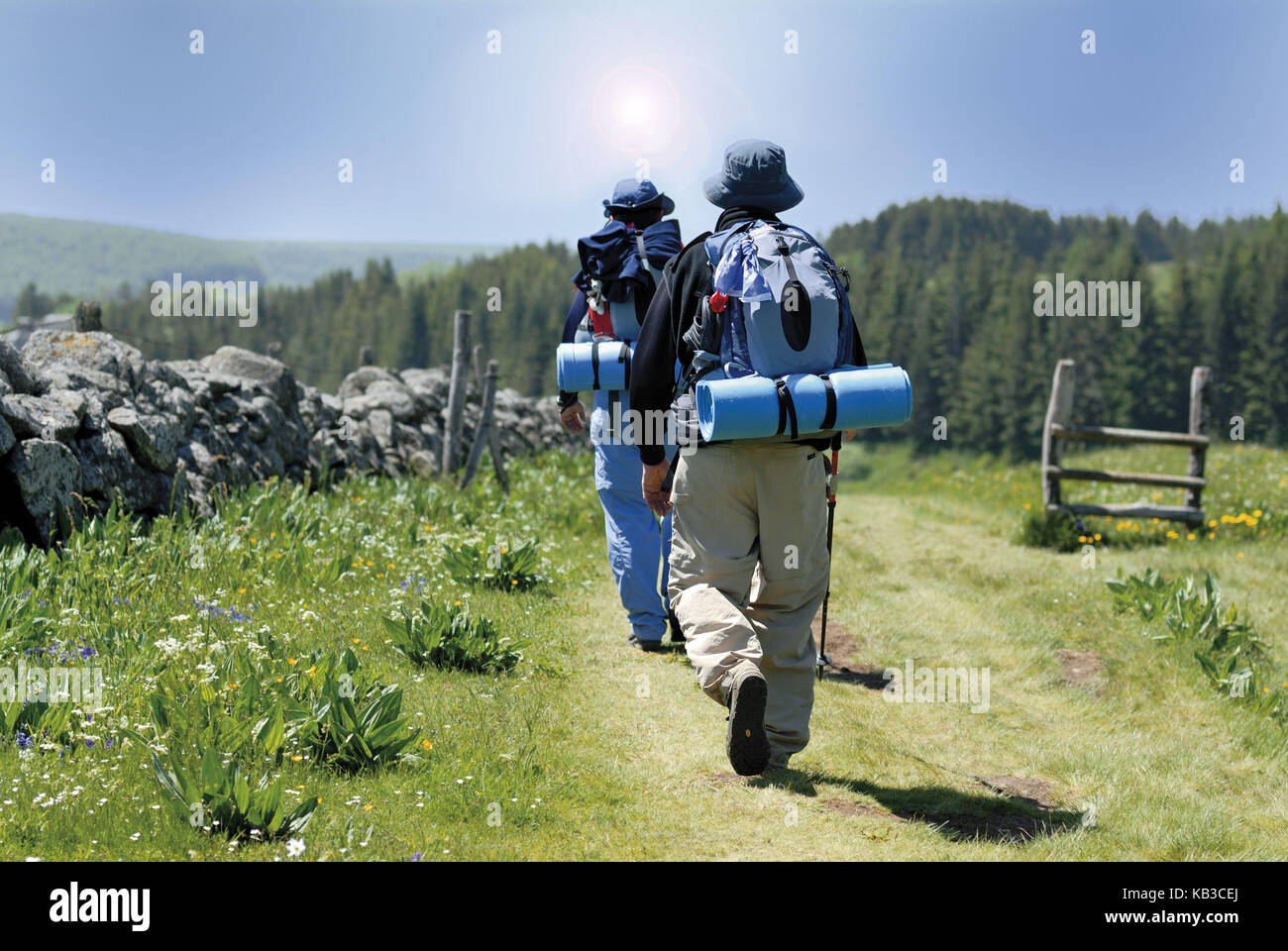 France, Midi-Pyrénées, jacobean pilgrim on the plateau of Aubrac, Stock Photo
