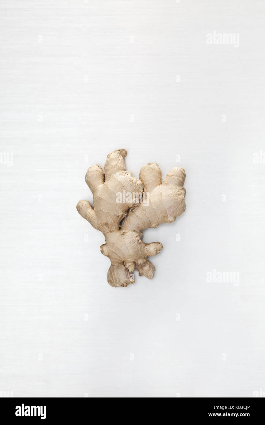 Ginger root, background white, gingers, root, nodule, ginger nodule, health, sharply, ingredient, food, ginger root, metabolism, extract, immune system, curative, alternatively, Chinese medicine, preventive, healthy, healthy nutrition, nutrition, spicy, Würzmittel, of course, vegetable, TCM, traditional Chinese medicine, in Indian, Asian, effect, blood circulation-supporting, stimulatingly, Stock Photo