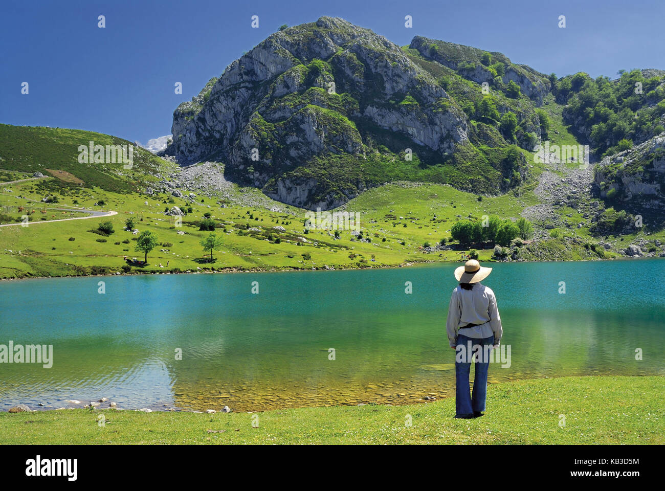 Spain, Asturias, woman in the mountain lake Lago Enol in the national park Picos de Europe, Stock Photo