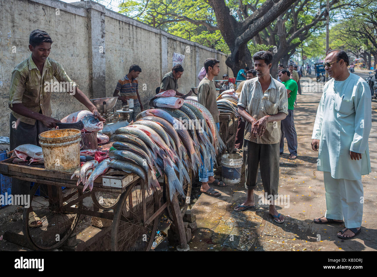 India, Karnataka, Mysore, Devarala market, fishmonger on the street Stock Photo