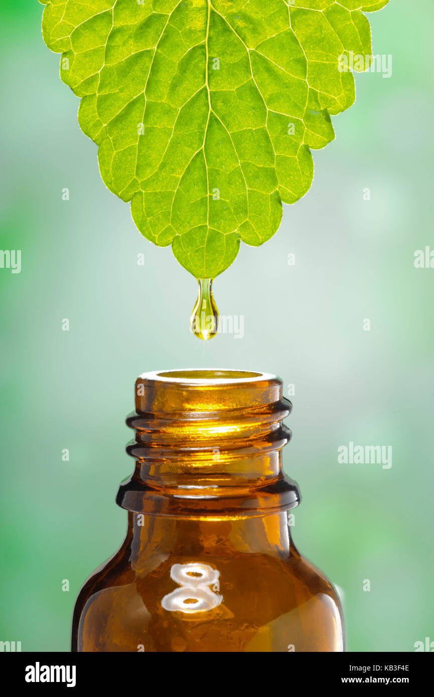 Drop of a leaf of medicinal plants falls in a bottle, Stock Photo
