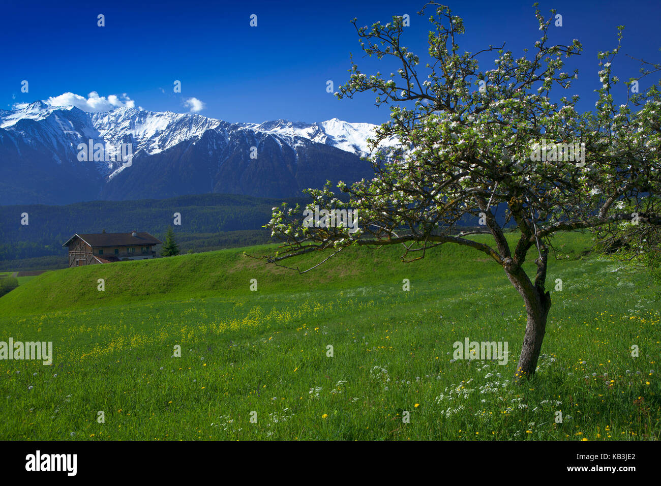 Austria, Tyrol, Wildermieming, mountain doctor's house, Stock Photo