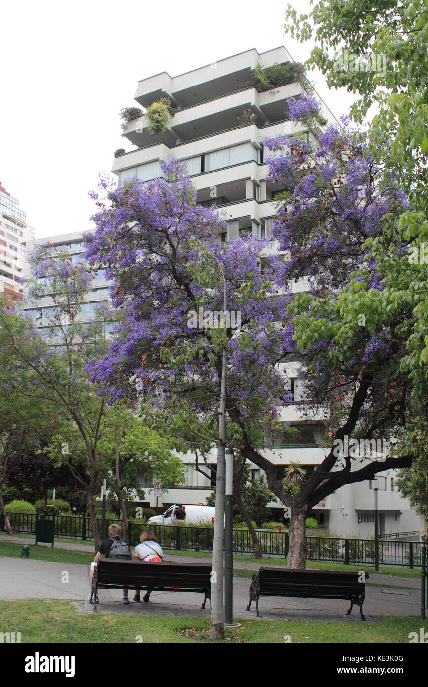 Chile, Santiago, Metropolitana close Edificio Don Carlos, Stock Photo