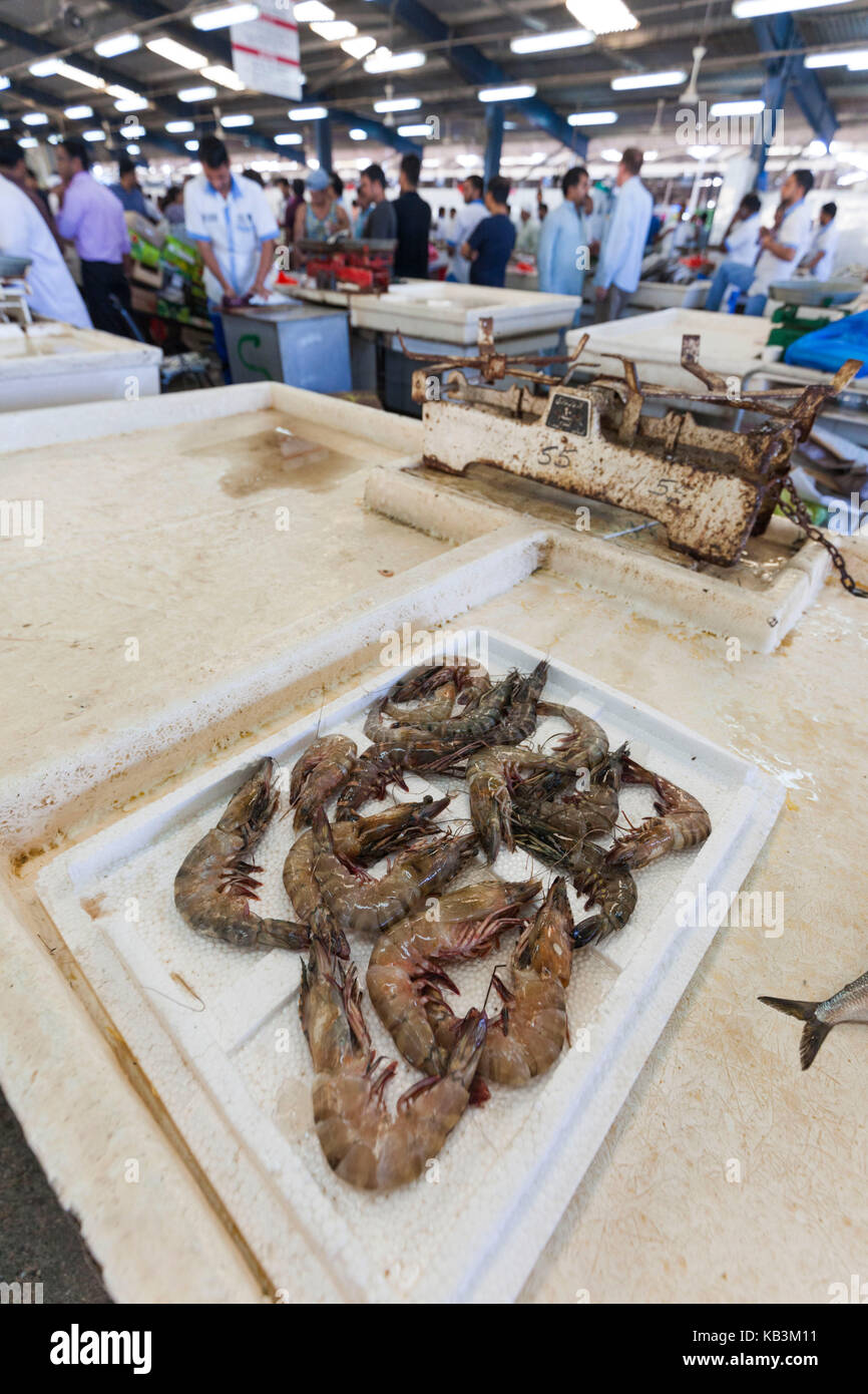 Gulf shrimp hires stock photography and images Alamy