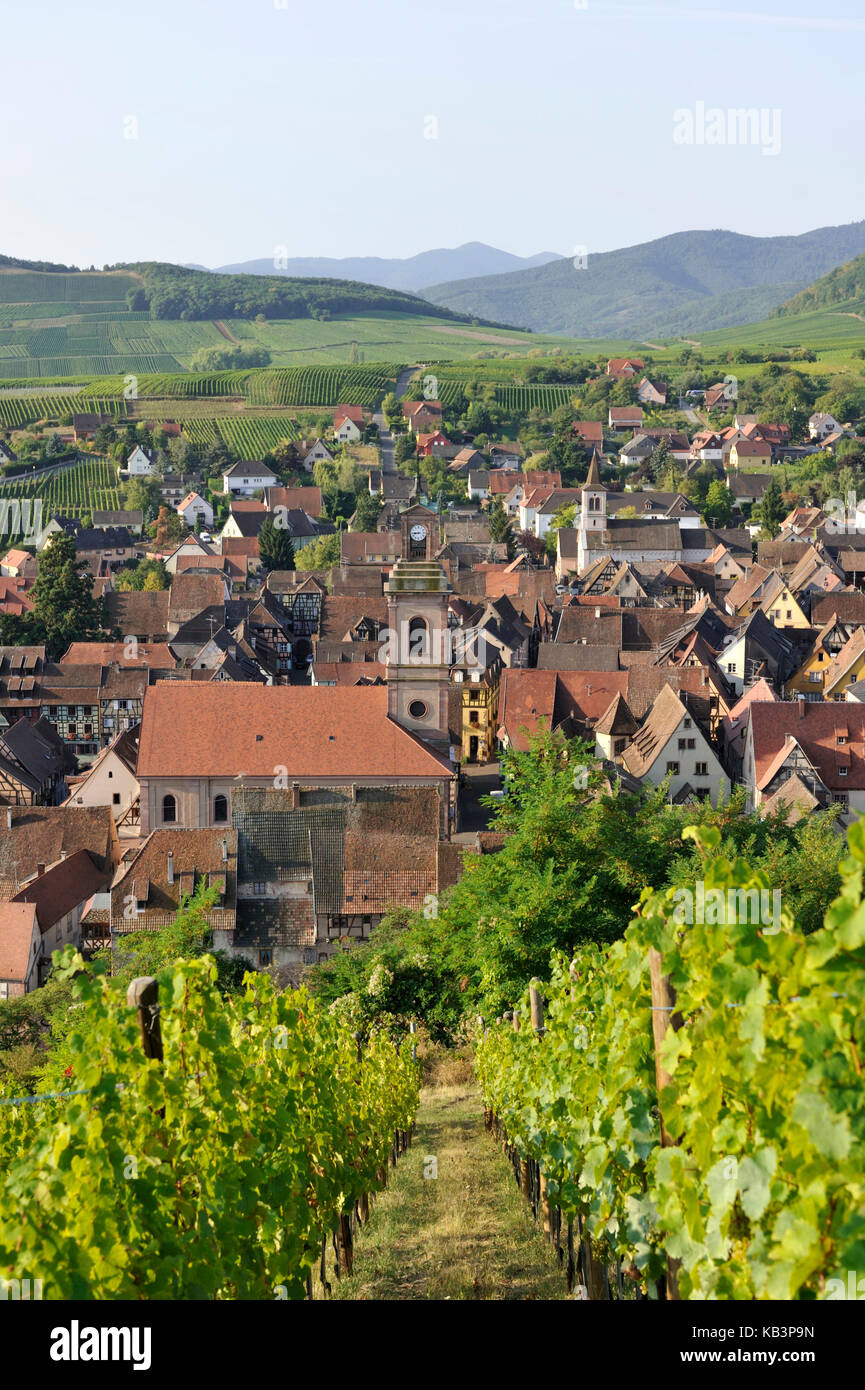 France, Haut Rhin, Alsace Wine Road, Riquewihr village, labelled Les Plus Beaux Villages de France (The Most Beautiful Villages of France) and the vineyard Stock Photo