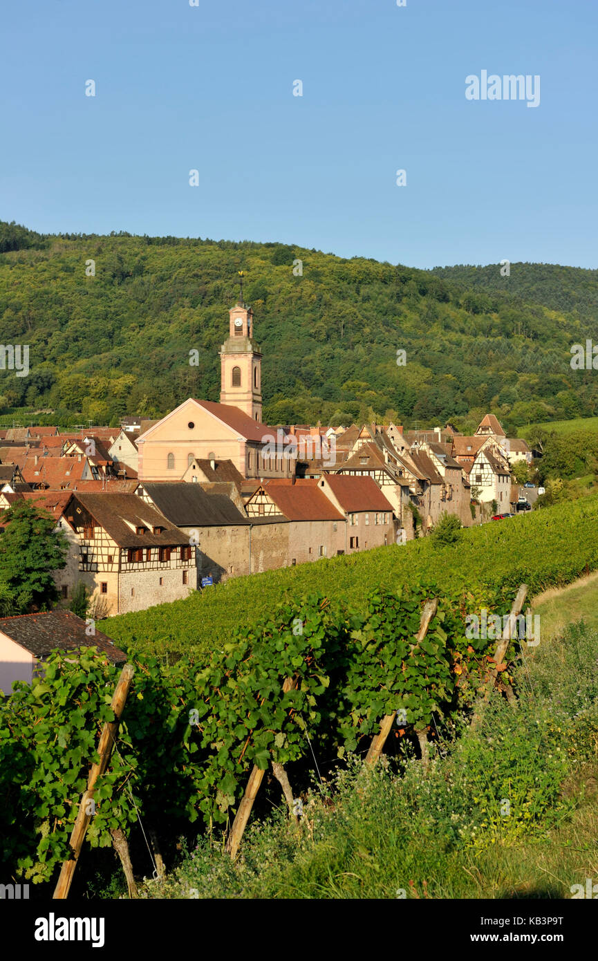 France, Haut Rhin, Alsace Wine Road, Riquewihr village, labelled Les Plus Beaux Villages de France (The Most Beautiful Villages of France) and the vineyard Stock Photo