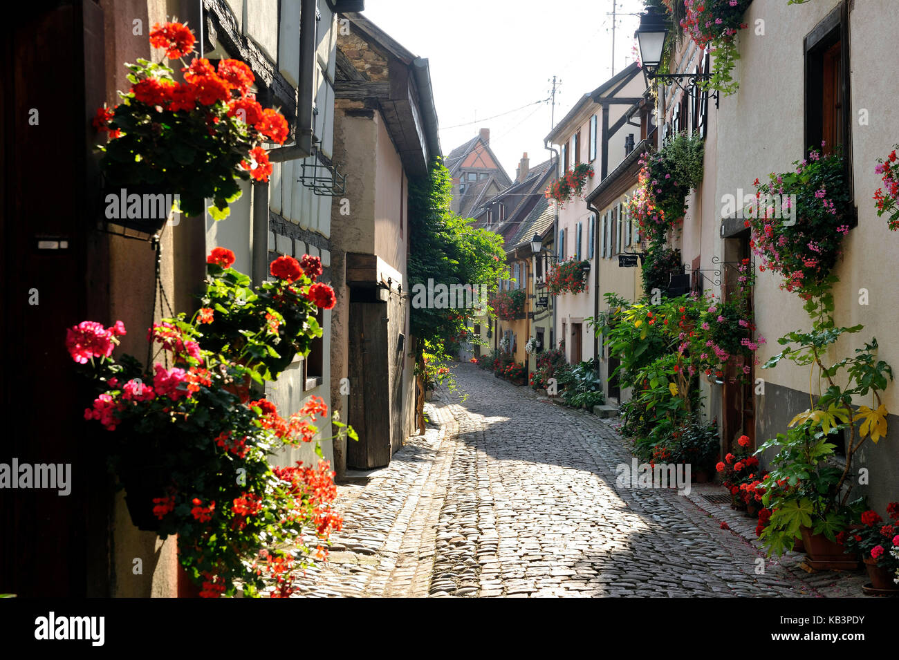 France, Haut Rhin, Alsace Wine Route, Eguisheim, labelled Les Plus Beaux Villages de France (The Most Beautiful Villages of France), traditional half timbered houses Stock Photo