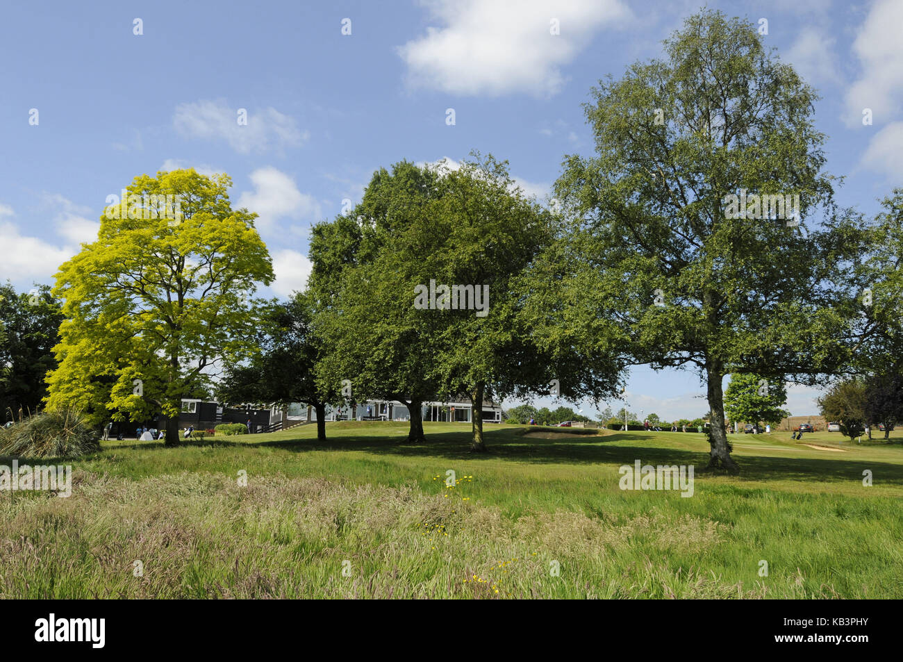 View over rough to 18th hole and Green and the Clubhouse, Canterbury Golf Club, Canterbury, Kent