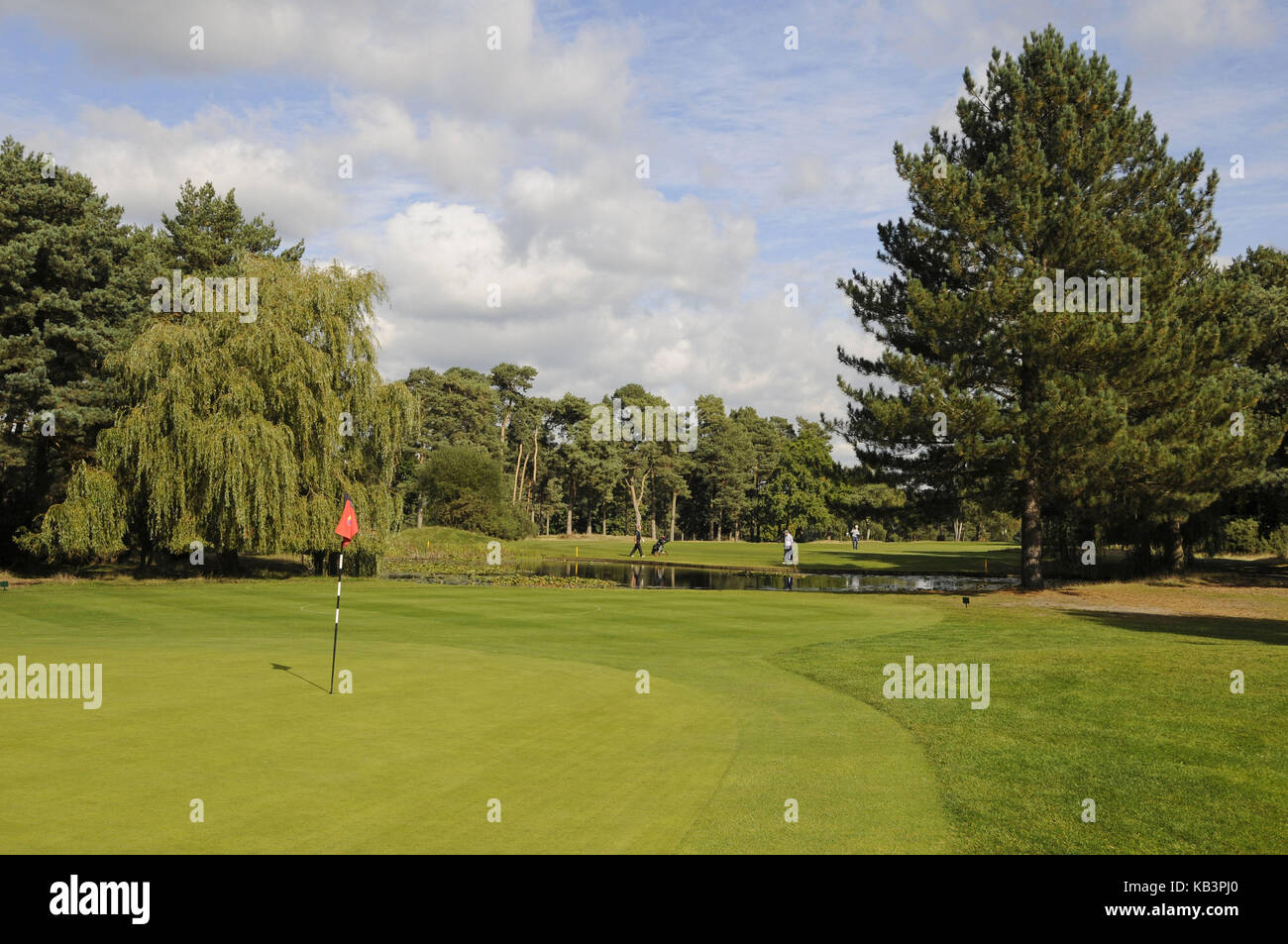 View over the Green to the pond on the 16th Hole back down the fairway, Camberley Heath Golf Club, Surrey, England Stock Photo