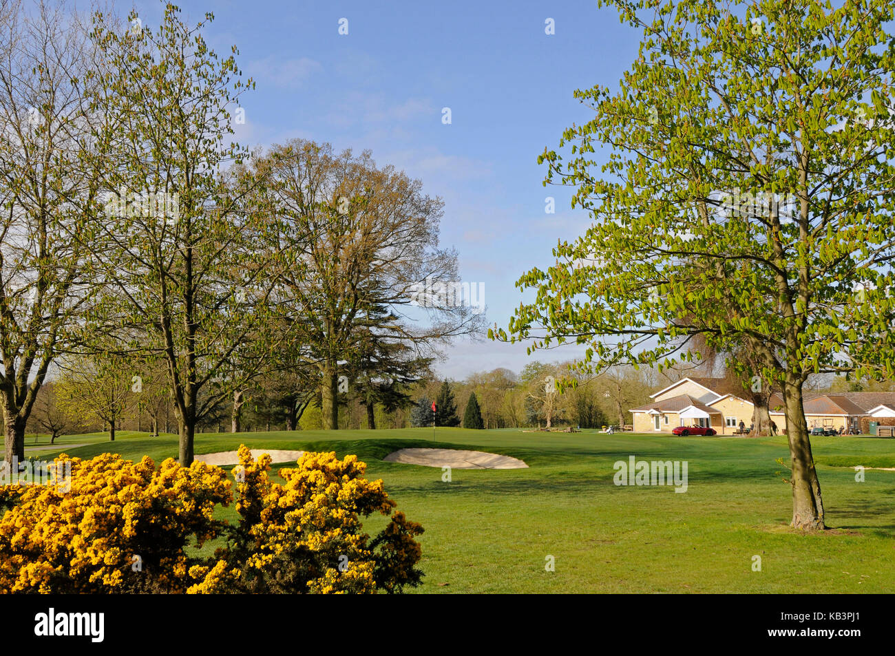 View over colourful flowers to the Green and the Clubhouse at Braintree
