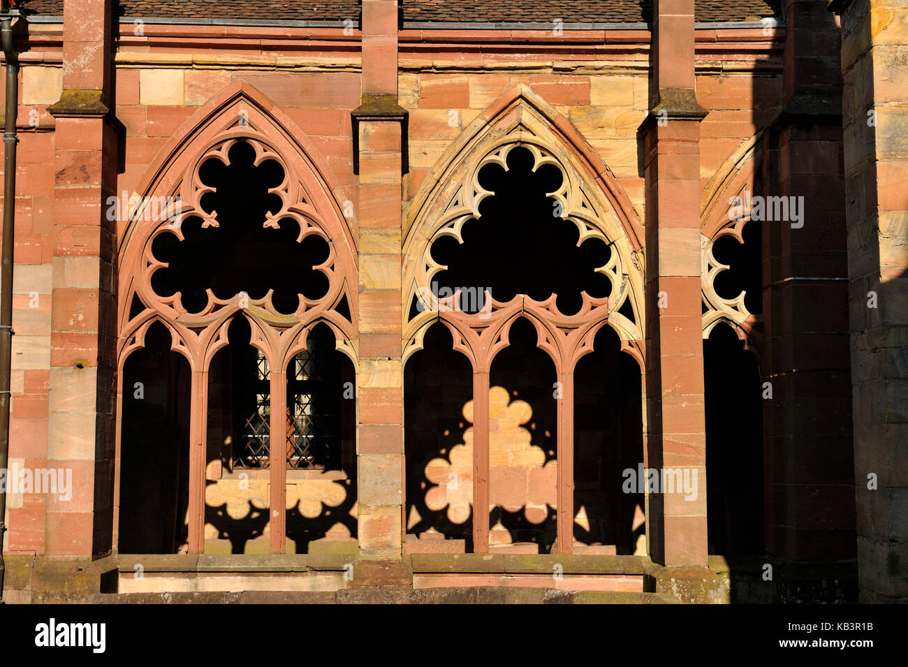 France, Bas Rhin, Wissembourg, Saint-Pierre-Saint-Paul church, the unfinished Gothic cloister Stock Photo