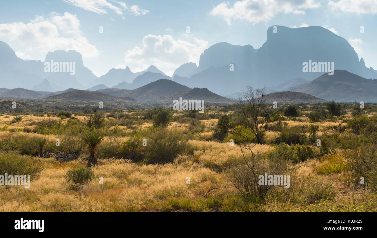 Desert scenery, Bend National Park, Texas, USA Stock Photo