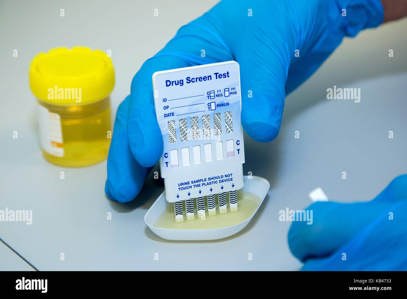 A six panel dip test drug kit Stock Photo