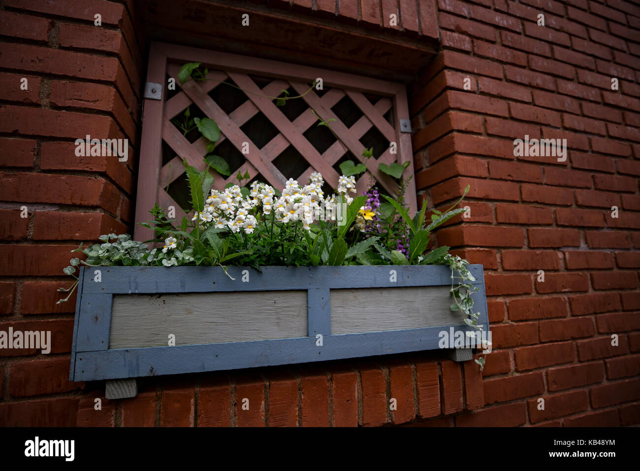 Flower planter on wall Stock Photo