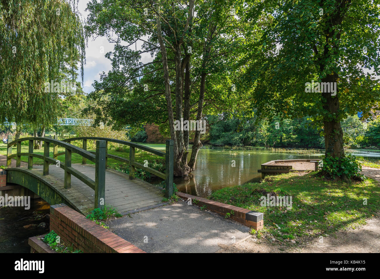 Common garden in Blandford Stock Photo Alamy