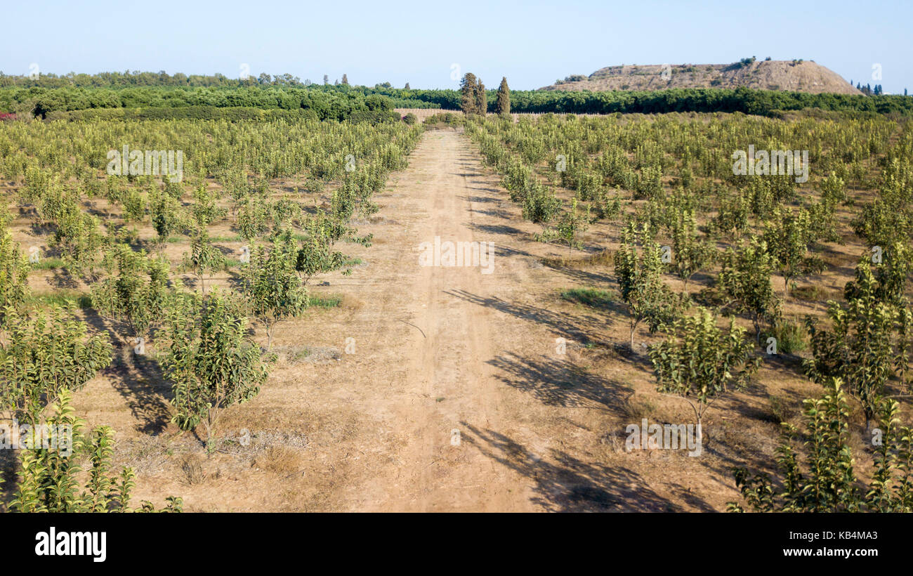 What A Green Day Stock Photo