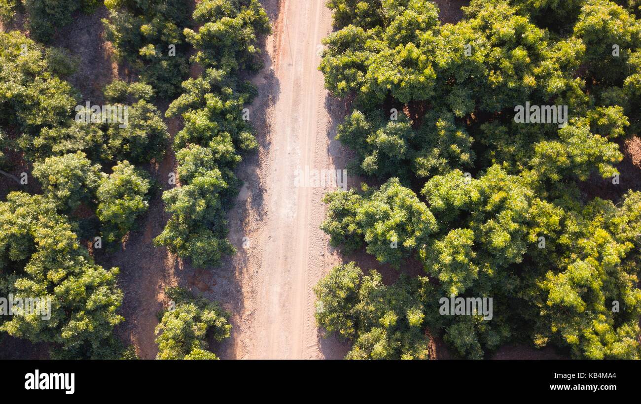 What A Green Day Stock Photo