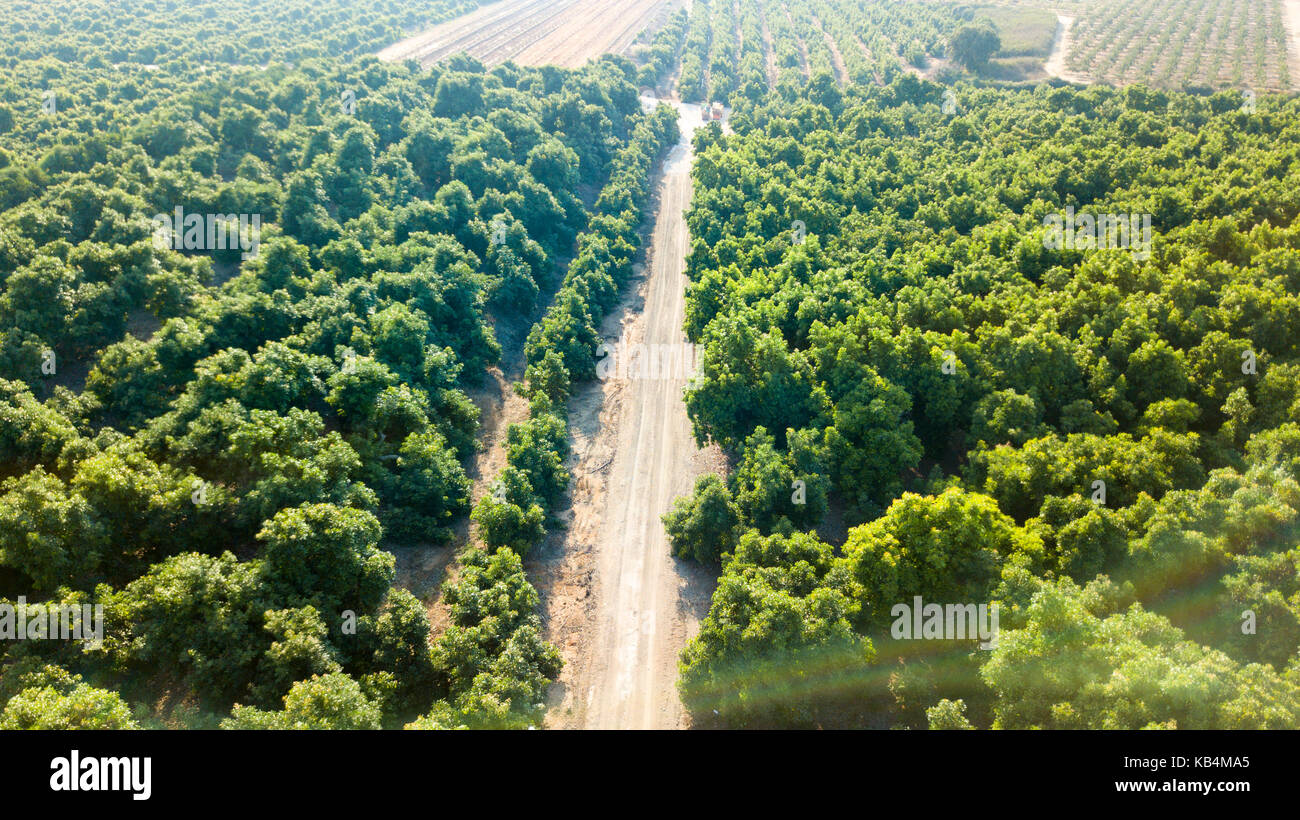What A Green Day Stock Photo