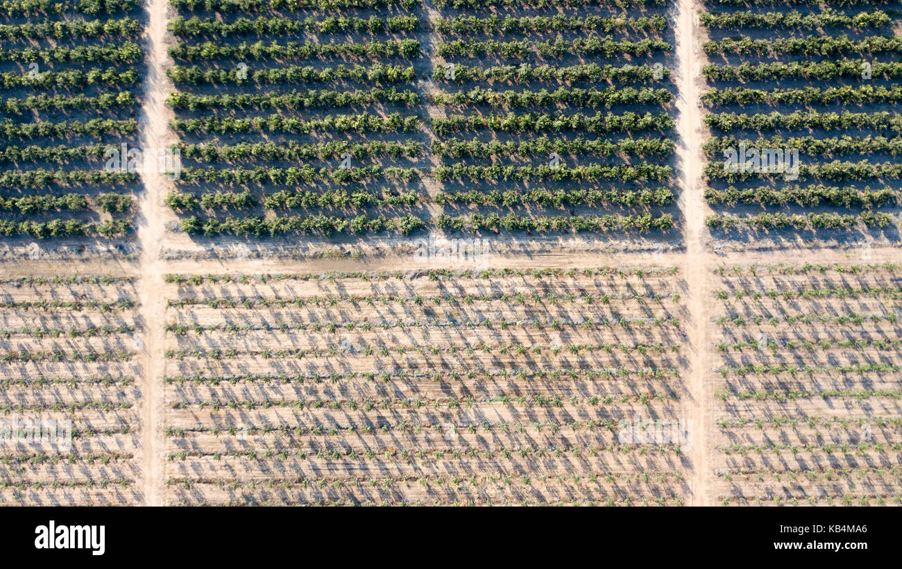 What A Green Day Stock Photo