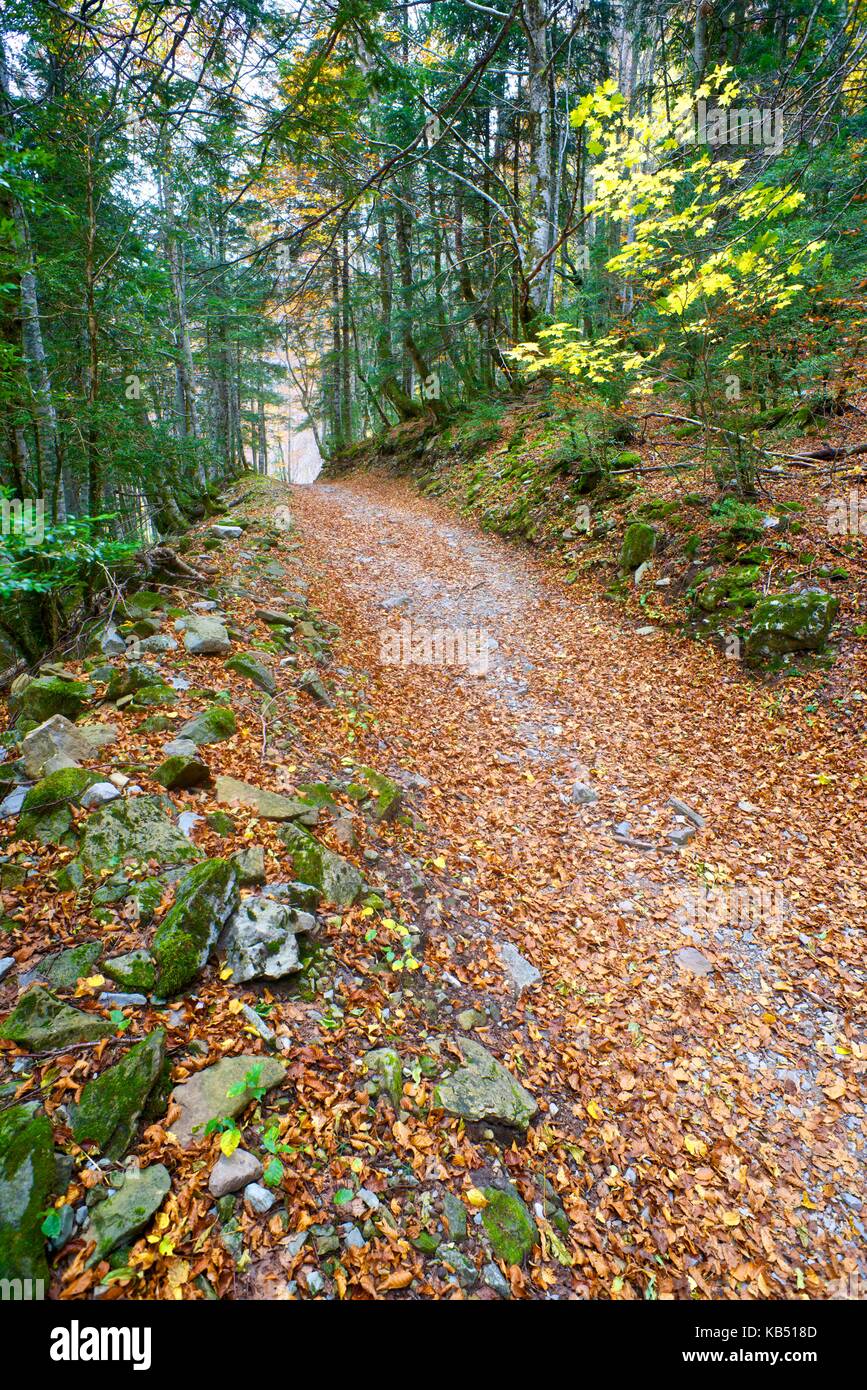Hiking trail in Ordesa National Park, Pyrenees, Huesca, Aragon, Spain. Stock Photo