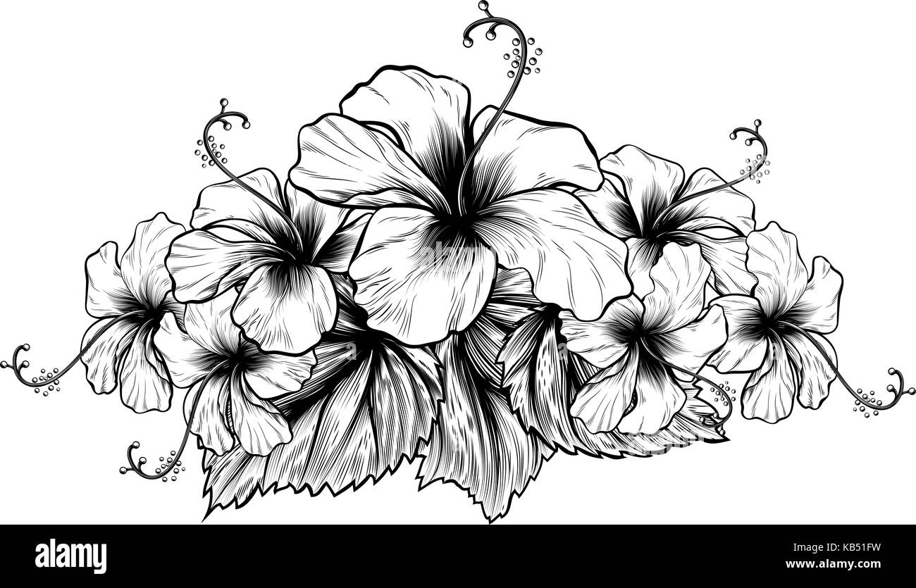 Hibiscus Flowers Vintage Style Woodcut Engraved Etching  Stock Vector