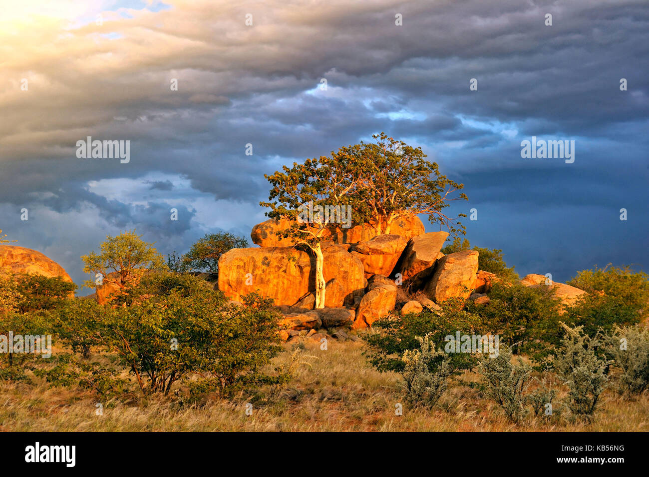 Namibia, Damaraland district between Kamanjab and Grootberg Stock Photo