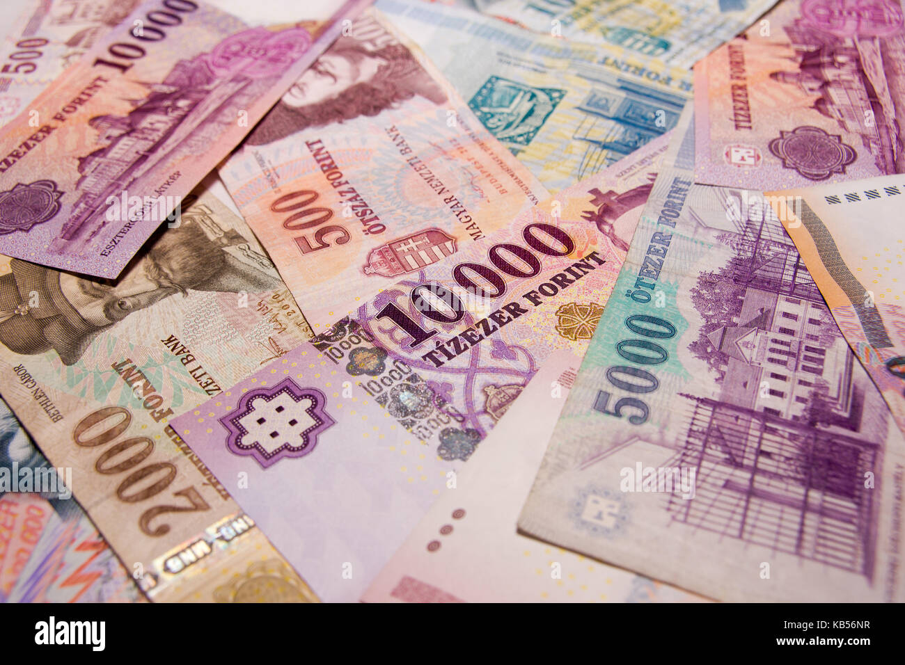 5000 otezer forint to usd