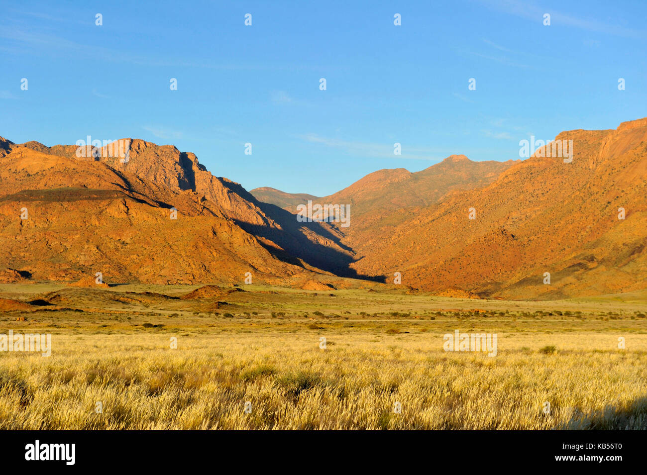 Namibia, Erongo, Damaraland, Brandberg and Ugab river valley Stock Photo