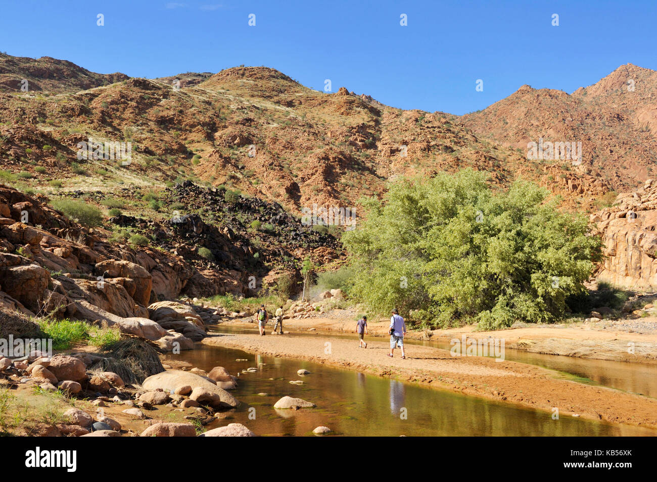 Namibia, Erongo, Damaraland, Brandberg, Tourists visiting Tsisab Ravine Valley Stock Photo