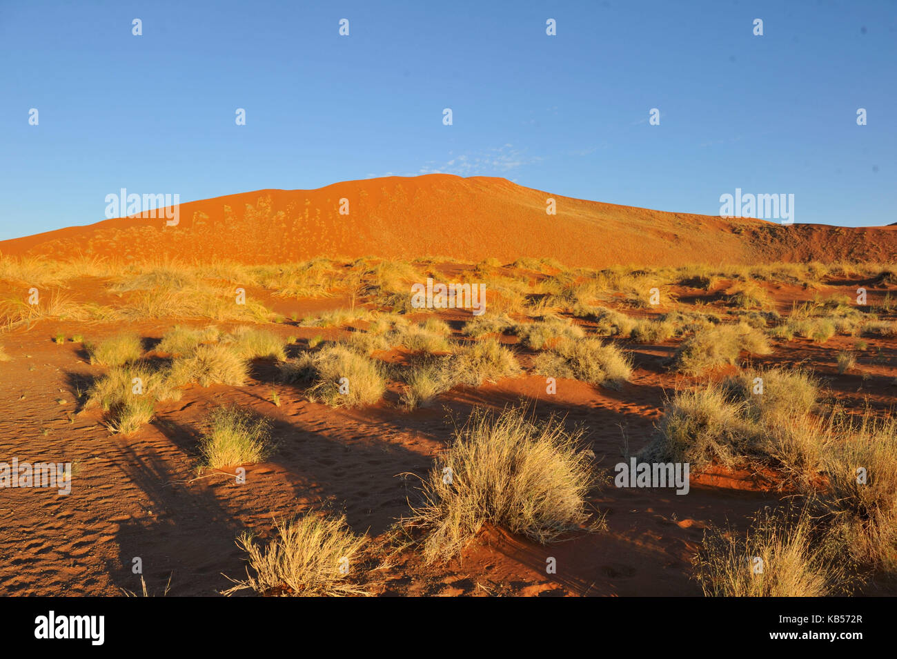 Namibia, Hardap, Namib desert, Namib-Naukluft national park, Sossusvlei dunes Stock Photo