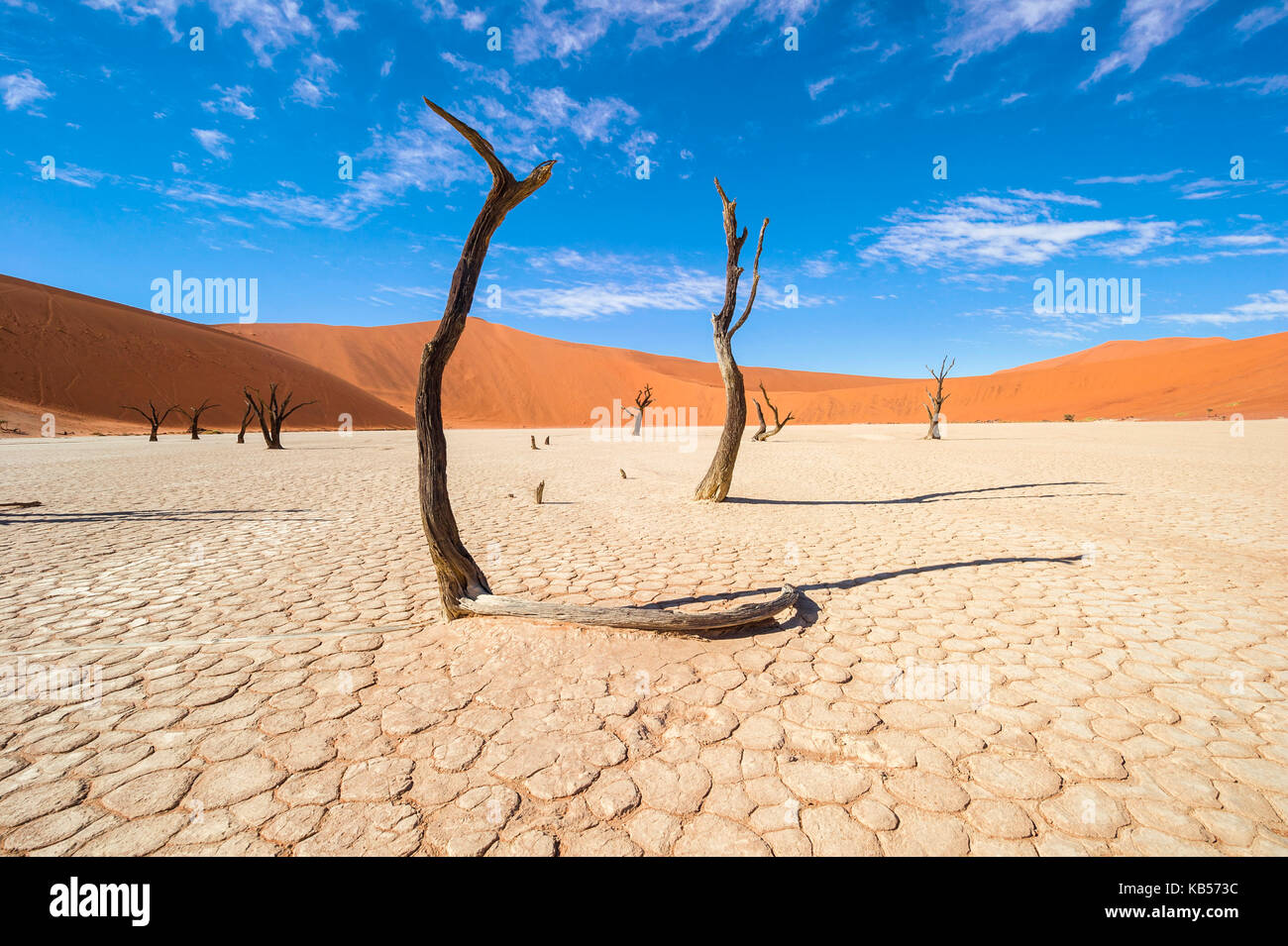 Namibia, Hardap, Namib desert, Namib-Naukluft national park, Sossusvlei dunes, Dead Vlei Stock Photo