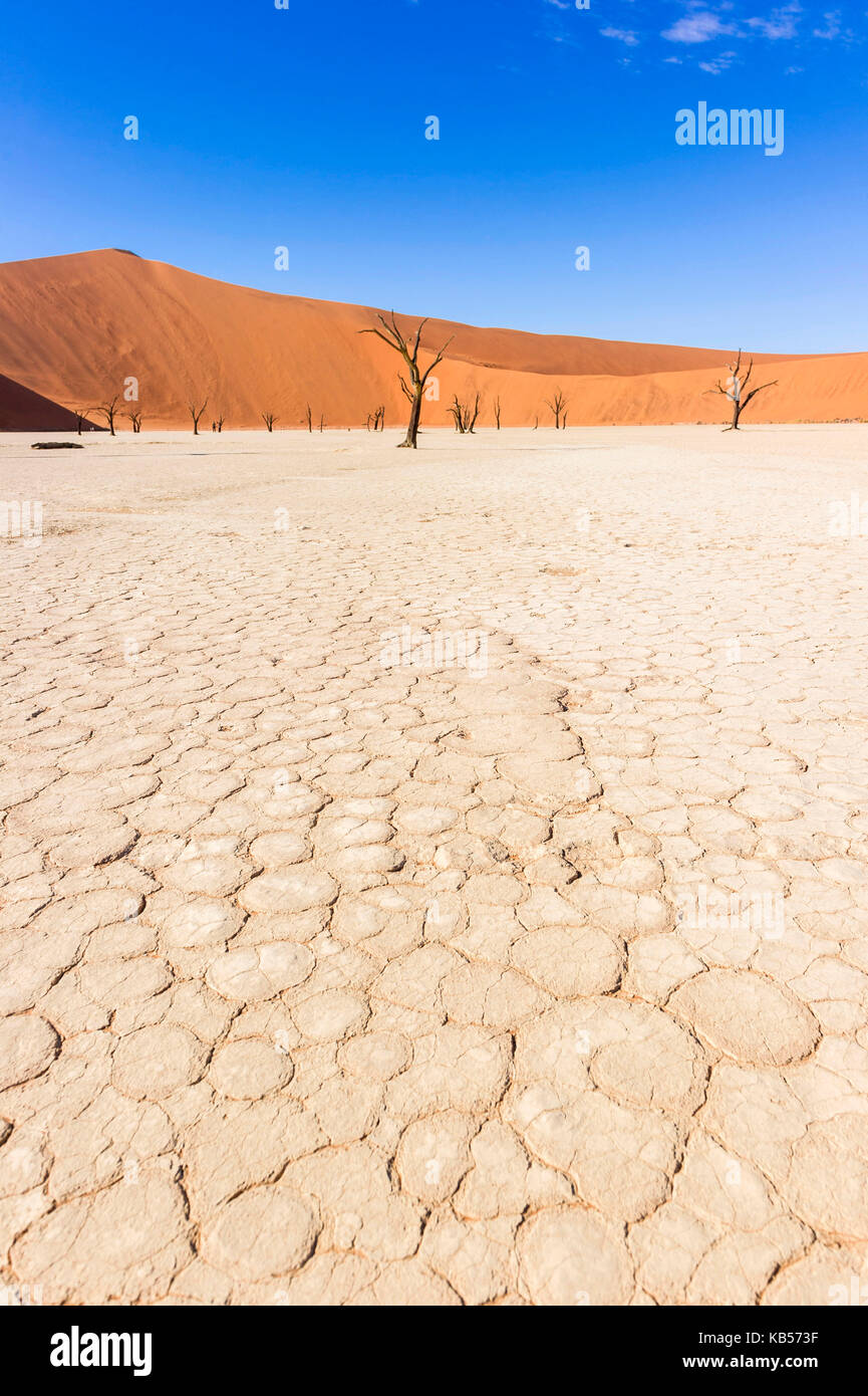 Namibia, Hardap, Namib desert, Namib-Naukluft national park, Sossusvlei dunes, Dead Vlei Stock Photo