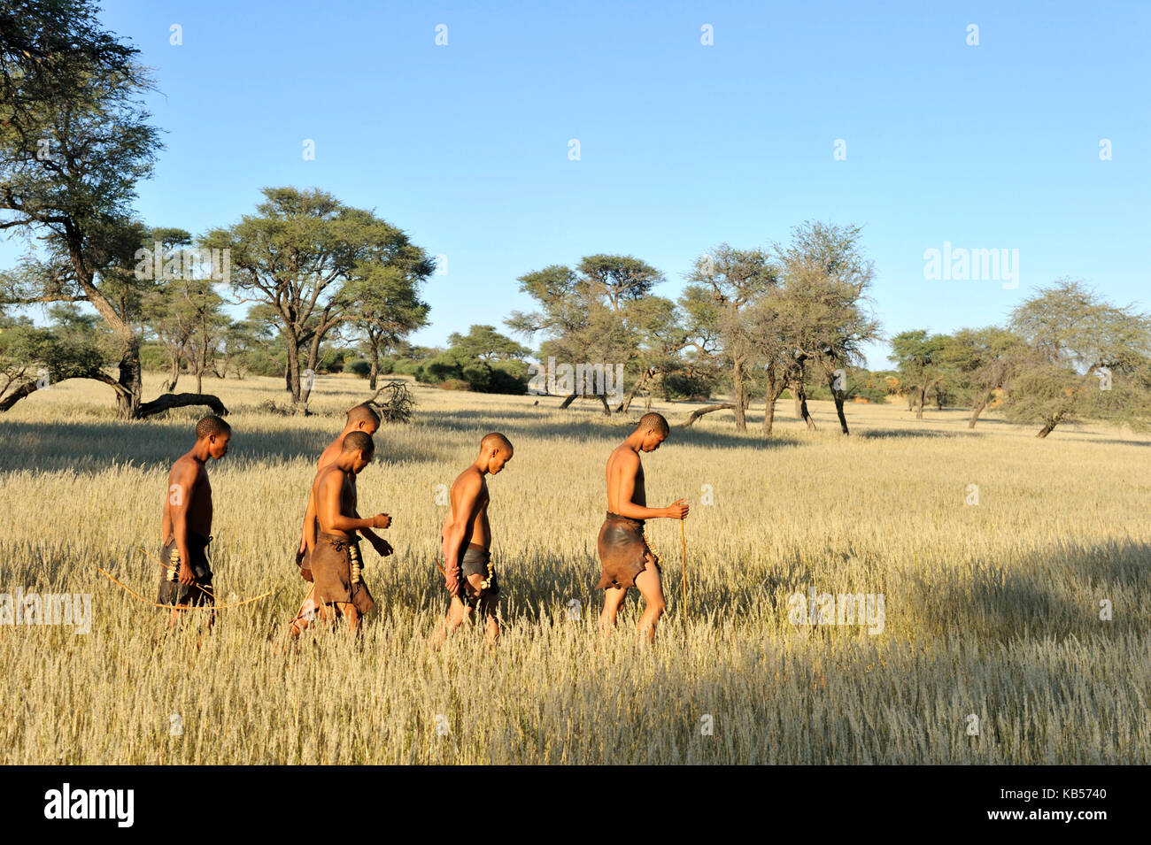 Namibia, Kalahari desert, Intu Africa Kalahari game reserve, morning walk with Bushmen Stock Photo