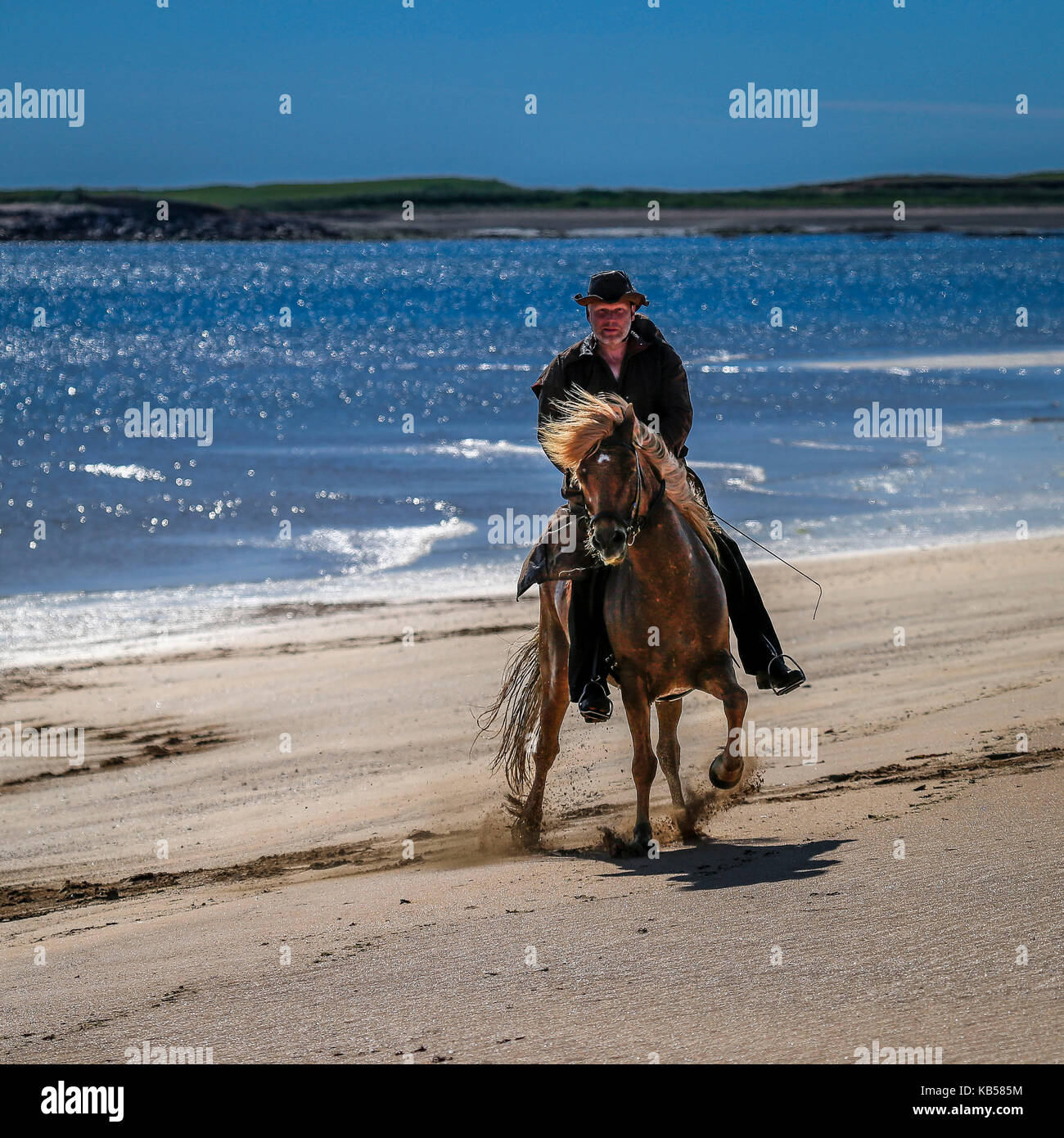 Horseback riding on Longufjordur Beach, Snaefellsnes Peninsula, Iceland Stock Photo
