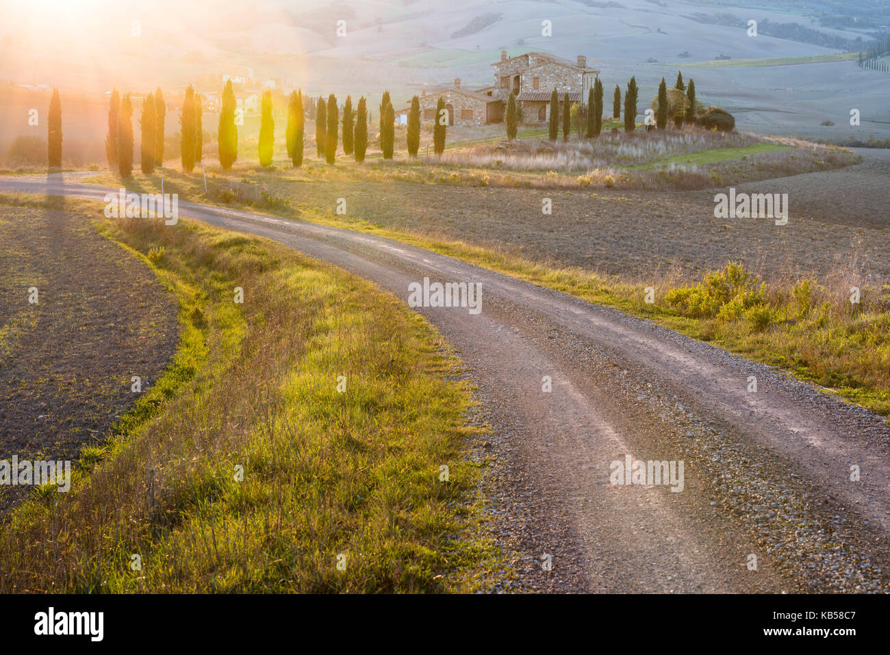 Rays of evening light and sun flares are touching the cypress alley and the road to a small stone villa, surrounded by gray plough-land Stock Photo