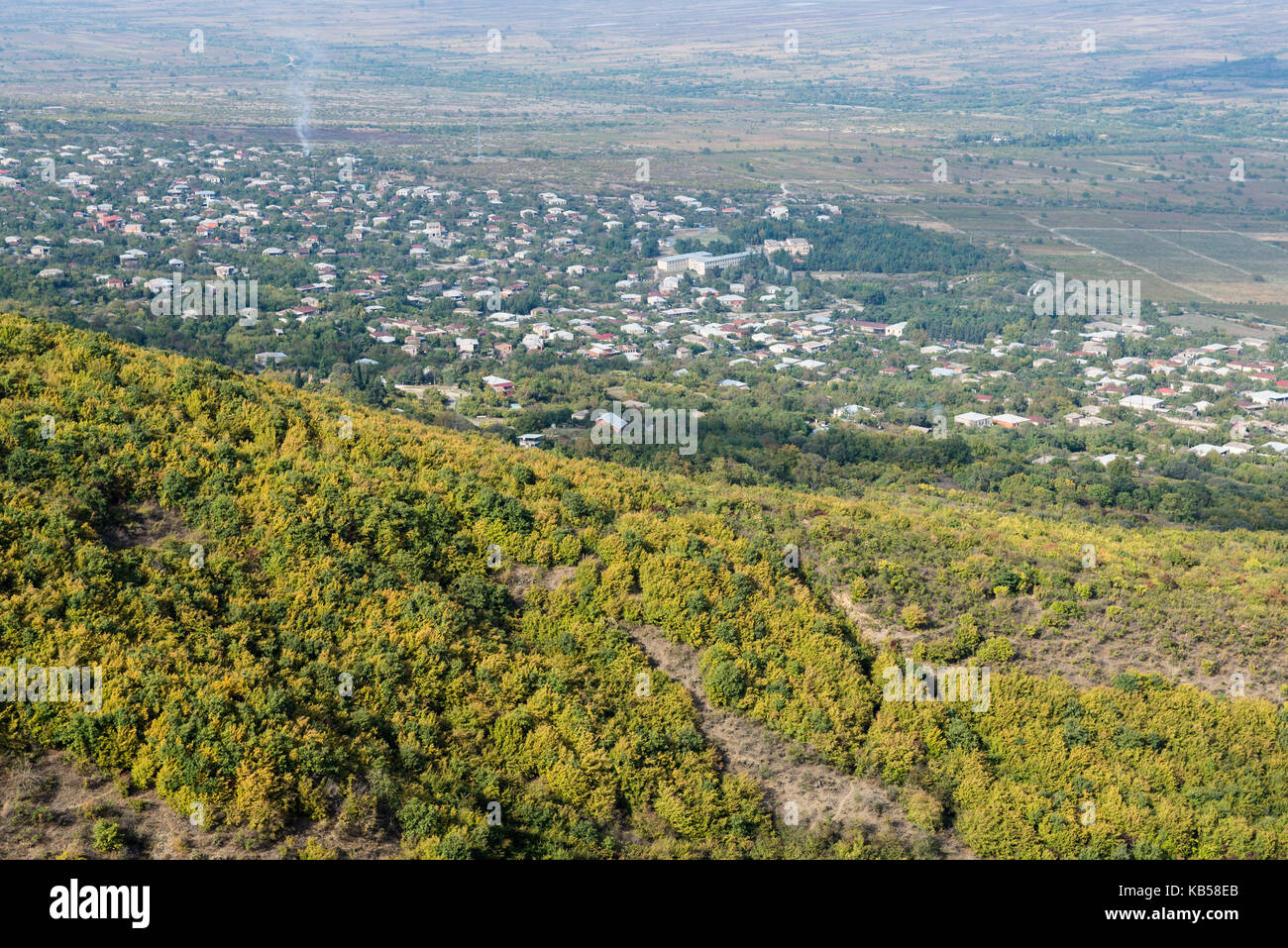 Alazani Valley, forest, trees, Kakheti, Georgia, Sighnaghi, city, hill, view from above Stock Photo