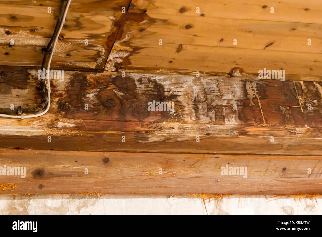 Water Damaged Ceiling And Wall Leakage In An Old Building