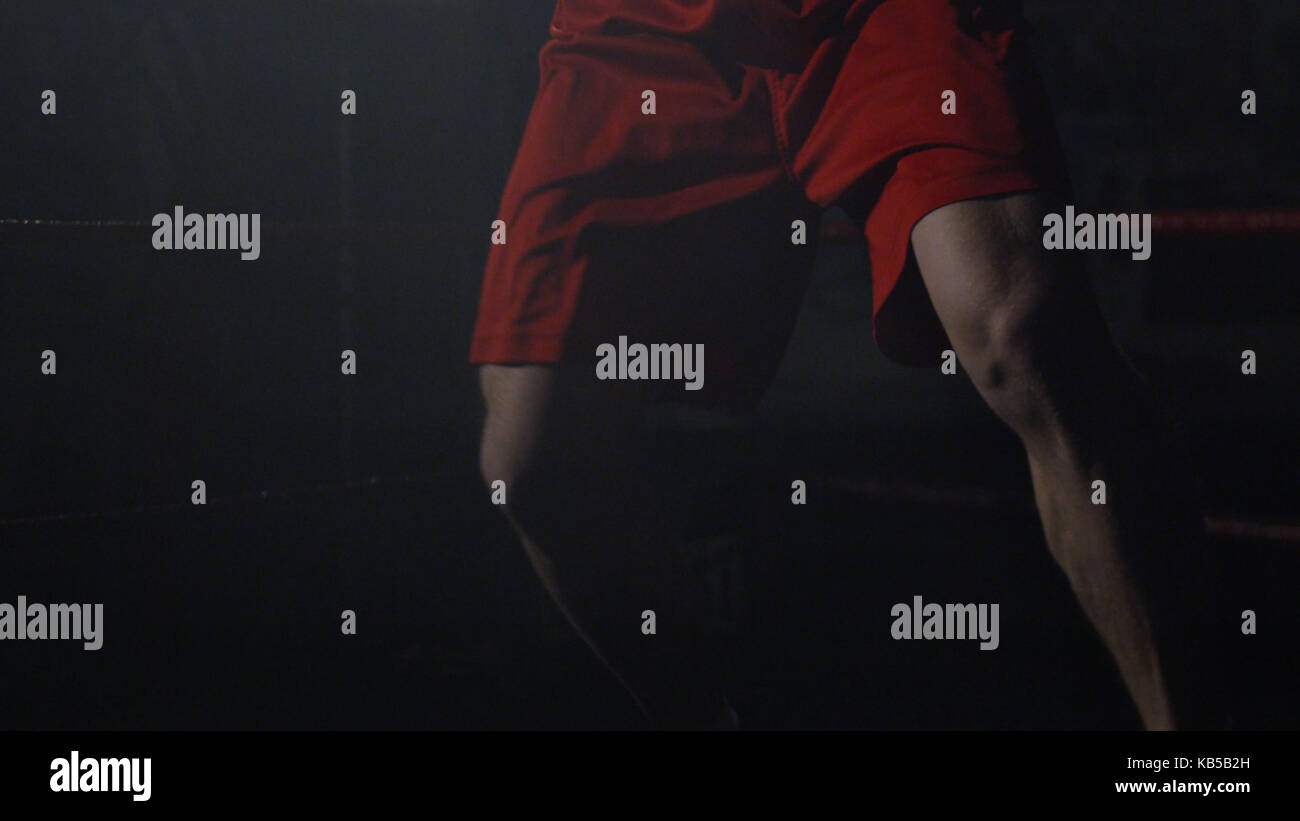 Boxer doing exercises legs hires stock photography and images Alamy