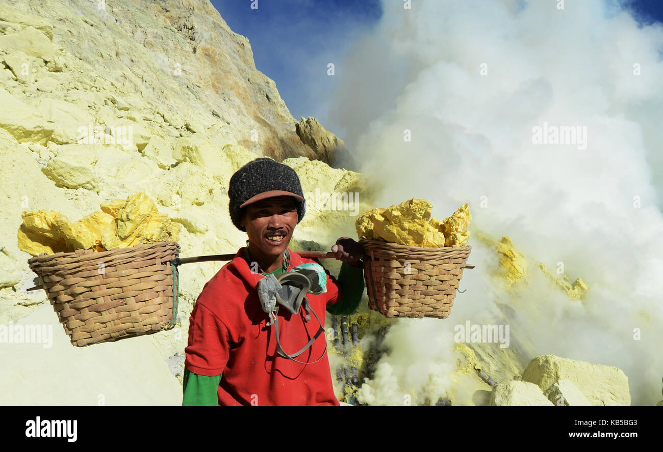 Sulfur miners carrying sulfur from the Ijen volcano crater. Stock Photo