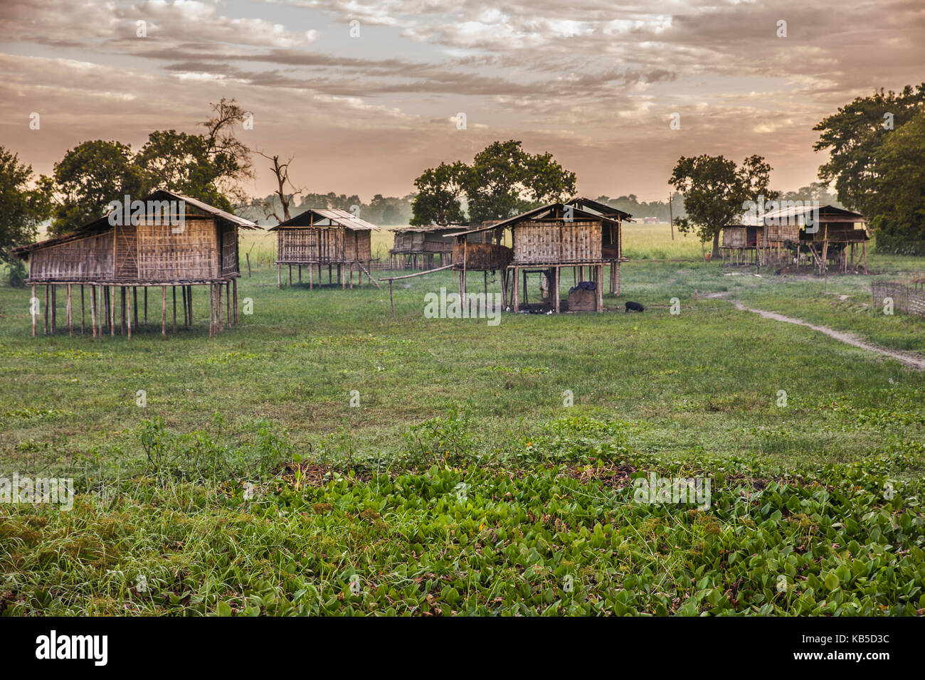 Stilt house india hires stock photography and images Alamy