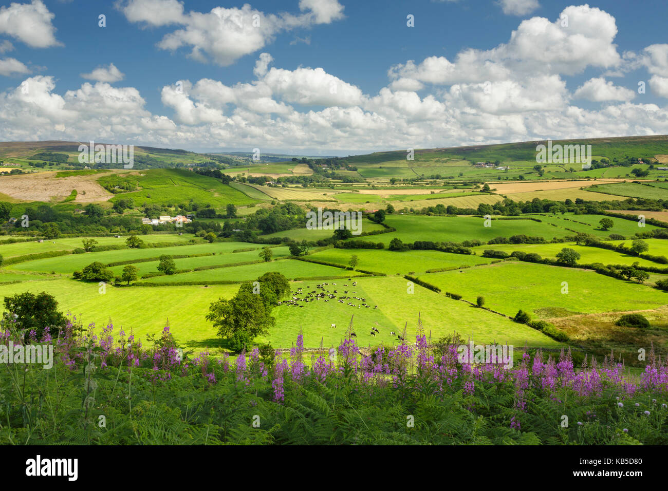 Castleton village, The North Yorkshire Moors National Park, Yorkshire